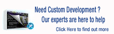 InfoLibrarian Consulting and Custom Development Services