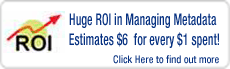 Huge ROI in Managing Metadata